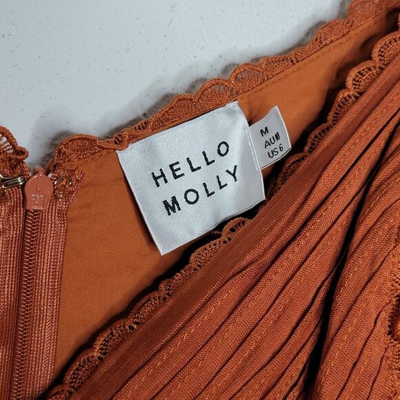 Hello Molly Medium Coming Of Age Mini Dress Rust Orange Long Sleeve V-Neck - Picture 5 of 8